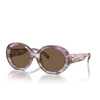 Lunettes de soleil Emporio Armani EA4231U 615673 striped brown - Vignette du produit 2/3