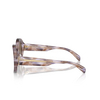 Lunettes de soleil Emporio Armani EA4231U 615673 striped brown - Vignette du produit 3/3