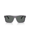 Emporio Armani EA4232 Sunglasses 610687 transparent dark grey - product thumbnail 1/3