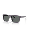 Emporio Armani EA4232 Sunglasses 610687 transparent dark grey - product thumbnail 2/3