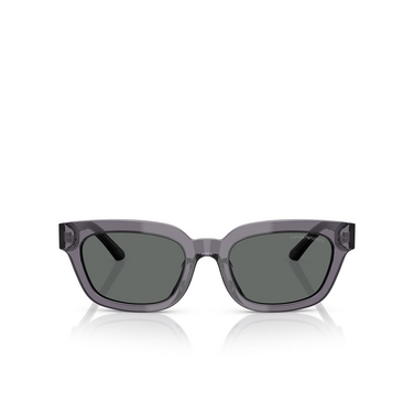 Gafas de sol Emporio Armani EA4233U 610687 transparent grey - Vista delantera