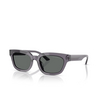 Emporio Armani EA4233U Sunglasses 610687 transparent grey - product thumbnail 2/3