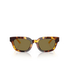 Emporio Armani EA4233U Sunglasses 618173 havana yellow - product thumbnail 1/3