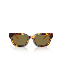 Occhiali da sole Emporio Armani EA4233U 618173 havana yellow