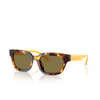 Emporio Armani EA4233U Sunglasses 618173 havana yellow - product thumbnail 2/3