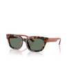 Lunettes de soleil Emporio Armani EA4233U 618271 havana brown - Vignette du produit 2/3