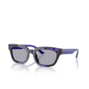 Emporio Armani EA4233U Sunglasses 618380 havana violet - product thumbnail 2/3