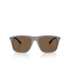 Emporio Armani EA4237 Sonnenbrillen 620573 matte grey - Produkt-Miniaturansicht 1/3