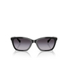 Emporio Armani EA4238 Sunglasses 50178G shiny black - product thumbnail 1/3