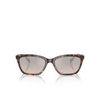 Emporio Armani EA4238 Sunglasses 50266I shiny havana - product thumbnail 1/3