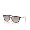 Emporio Armani EA4238 Sunglasses 50266I shiny havana - product thumbnail 2/3