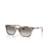 Emporio Armani EA4238 Sunglasses 61953C shiny havana grey - product thumbnail 2/3