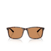 Gafas de sol Emporio Armani EA4241D 502673 shiny havana - Miniatura del producto 1/3