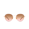 Eyepetizer GOBI Sunglasses C.9-E-44 vintage rose - product thumbnail 1/4