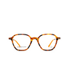 Eyepetizer QUATORZE Eyeglasses C.AT avana - product thumbnail 1/4