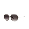 Garrett Leight MEADOW Sunglasses SV-BAR/WMNG silver-barolo/waning moon gradient - product thumbnail 2/4