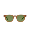 Gafas de sol Garrett Leight SHERWOOD SUN SUS/PGN summer sun/pure green - Miniatura del producto 1/4