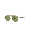 Gafas de sol Garrett Leight VAN BUREN II SUN G-SAPT/FPGN gold-sap tortoise/flat pure green - Miniatura del producto 2/3