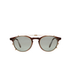 Garrett Leight WINWARD CLIP MG/SSHM matte gold/sage shadow mirror - Miniatura del producto 1/2