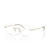 Giorgio Armani AR5147 Korrektionsbrillen 3002 matte pale gold - Produkt-Miniaturansicht 2/4