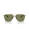 Giorgio Armani AR6110 Sunglasses 30022A matte pale gold - product thumbnail 1/4