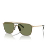 Giorgio Armani AR6110 Sunglasses 30022A matte pale gold - product thumbnail 2/4
