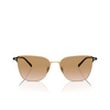 Giorgio Armani AR6155 Sunglasses 301313 pale gold - product thumbnail 1/4