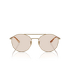 Giorgio Armani AR6156 Sunglasses 3002M4 matte pale gold - product thumbnail 1/4