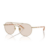 Giorgio Armani AR6156 Sunglasses 3002M4 matte pale gold - product thumbnail 2/4