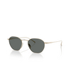 Giorgio Armani AR6160T Sunglasses 338487 pale gold - product thumbnail 2/4