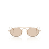 Giorgio Armani AR6161T Sunglasses 338693 rose gold - product thumbnail 1/4