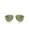 Giorgio Armani AR6162 Sunglasses 30022A matte pale gold - product thumbnail 1/4