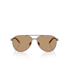 Giorgio Armani AR6162 Sunglasses 3006M4 matte brown - product thumbnail 1/4