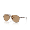 Giorgio Armani AR6162 Sunglasses 3006M4 matte brown - product thumbnail 2/4