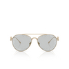 Giorgio Armani AR6167 Sunglasses 3002AL matte pale gold - product thumbnail 1/4