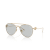 Giorgio Armani AR6167 Sunglasses 3002AL matte pale gold - product thumbnail 2/4