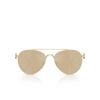 Giorgio Armani AR6167 Sunglasses 30130W gold plated - product thumbnail 1/4