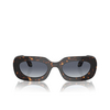 Giorgio Armani AR8182 Sunglasses 612486 havana - product thumbnail 1/4