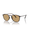 Giorgio Armani AR8186U Sunglasses 508973 havana - product thumbnail 2/4
