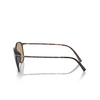 Giorgio Armani AR8186U Sunglasses 508973 havana - product thumbnail 3/4