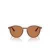 Giorgio Armani AR8196 Sunglasses 604673 trasparent brown - product thumbnail 1/4