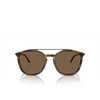 Giorgio Armani AR8198 Sunglasses 603773 striped brown - product thumbnail 1/4
