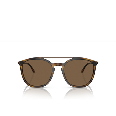 Giorgio Armani AR8198 Sunglasses 603773 striped brown - front view