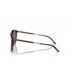 Giorgio Armani AR8198 Sunglasses 603773 striped brown - product thumbnail 3/4