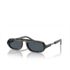 Giorgio Armani AR8203 Sunglasses 604887 blue havana - product thumbnail 2/4