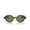 Occhiali da sole Giorgio Armani AR8205 60612A transparent green - anteprima prodotto 1/4