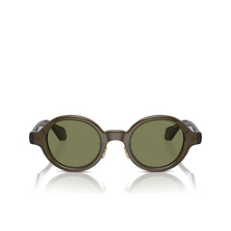 Gafas de sol Giorgio Armani AR8205 60612A transparent green