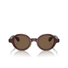 Gafas de sol Giorgio Armani AR8205 606273 transparent brown - Miniatura del producto 1/4