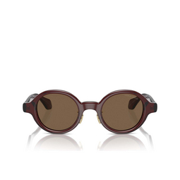 Gafas de sol Giorgio Armani AR8205 606273 transparent brown