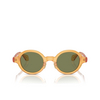 Lunettes de soleil Giorgio Armani AR8205 60632A transparent honey - Vignette du produit 1/4